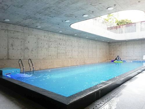 东莞市中信御园私家别墅层流推进器+S350一体化恒温泳池工程
